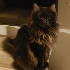 Meet your Posher, Deena